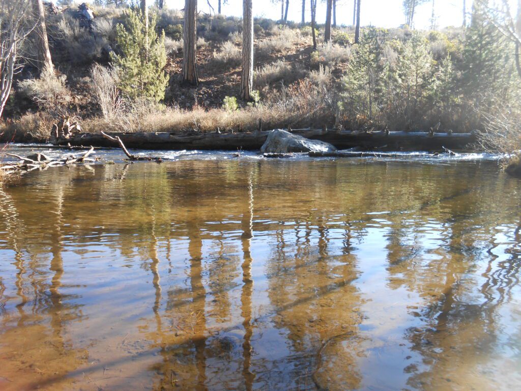 creek, river, water,