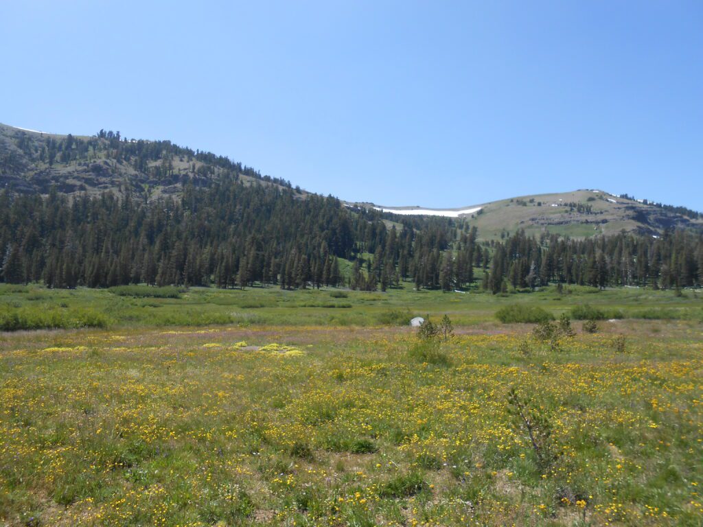 expansive nature, high alpine