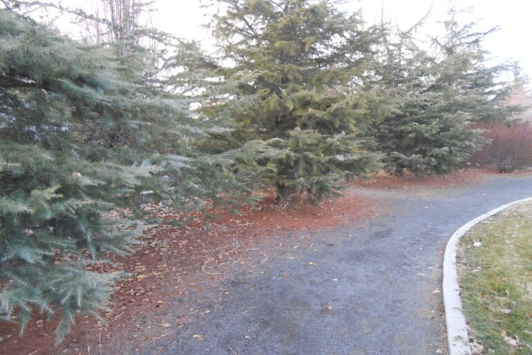park pathway