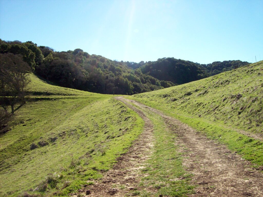 natural path, dirt and grass road, clear day