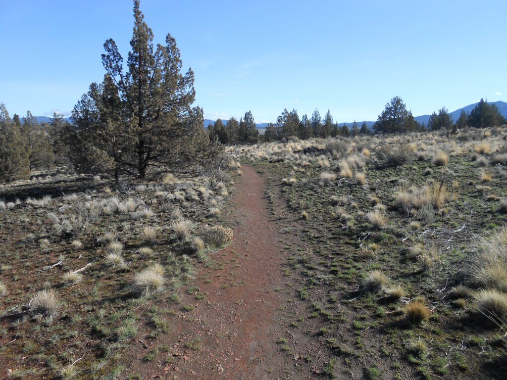 desert trail, high desert