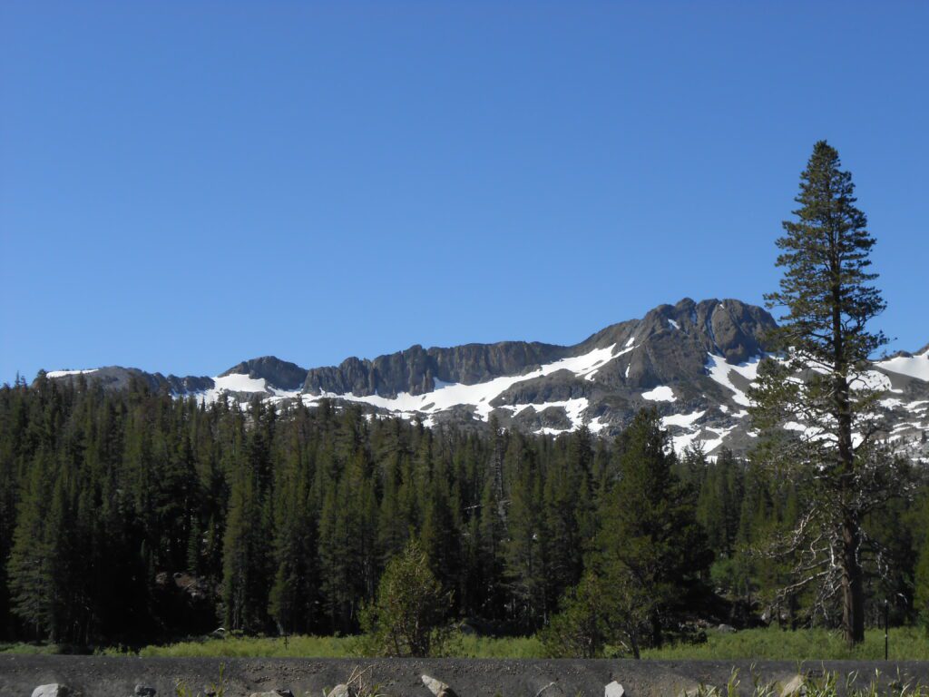 mountain, snow, blue sky, evergreens
