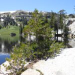 trees, apline lake,
