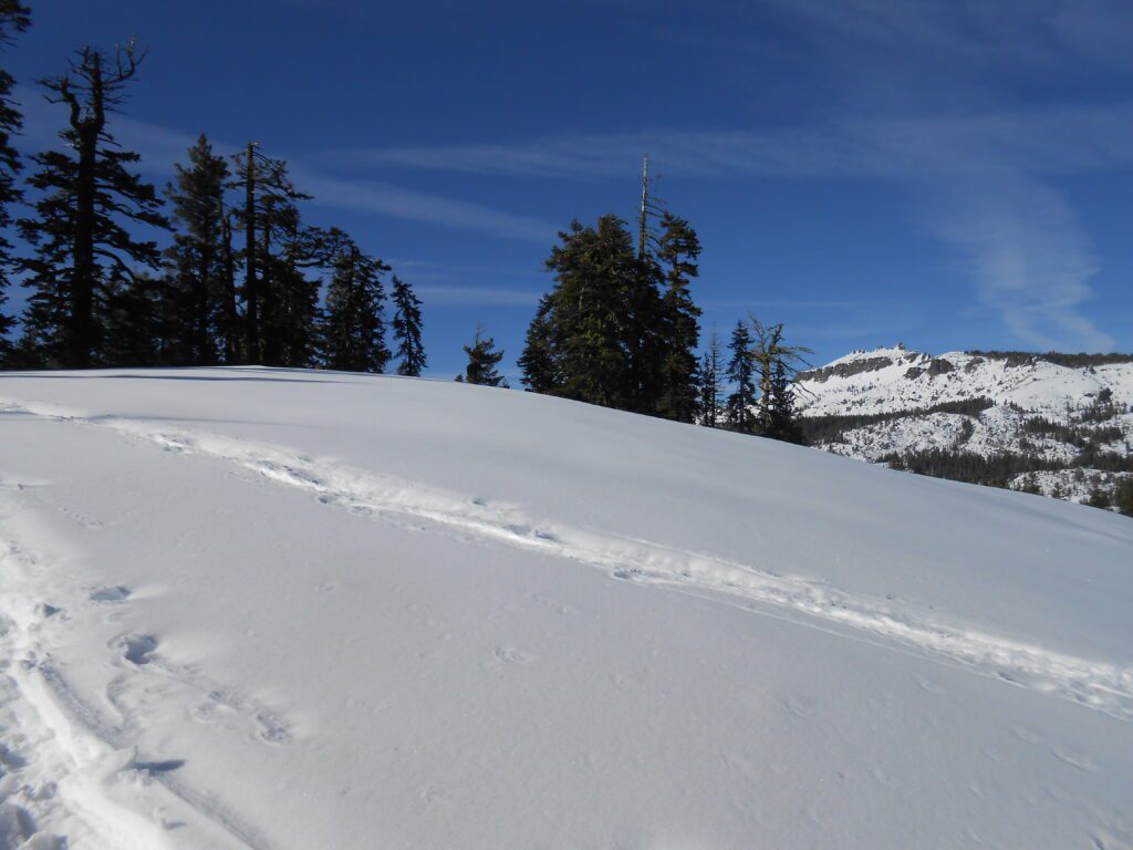 snow, donner summit, winter hiking, snowshoeing